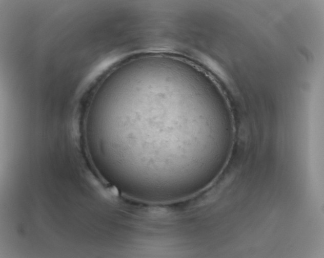 X0000115591456200911101229