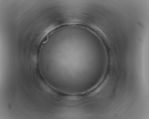 X0000115591457200911101229