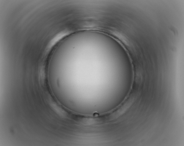 X0000115591458200911101229