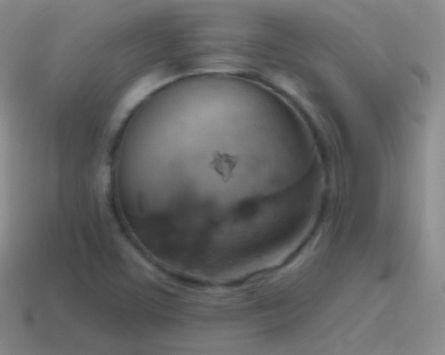 X0000115591459200911101229