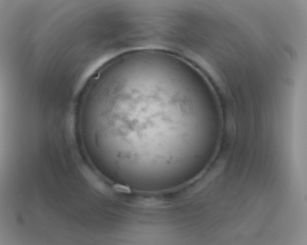 X0000115591460200911101229