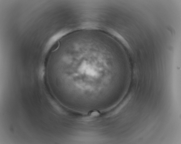 X0000115591461200911101229