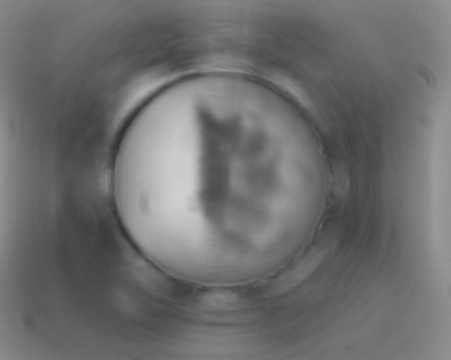 X0000115591462200911101229