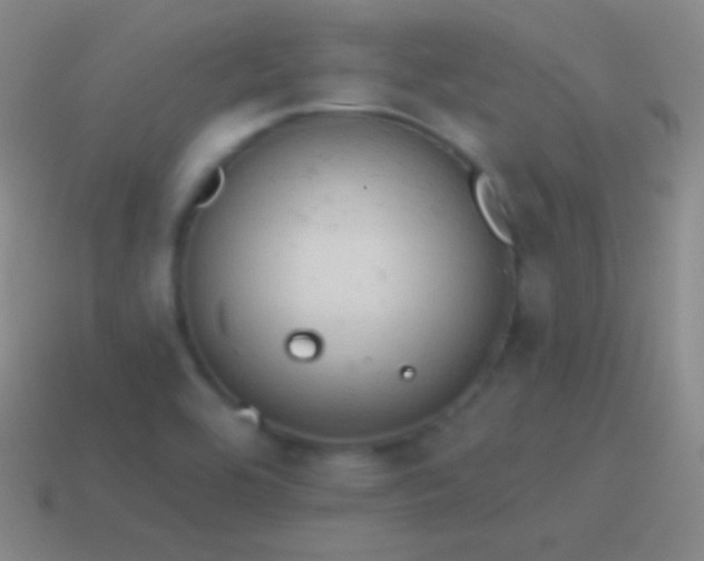 X0000115591464200911101229