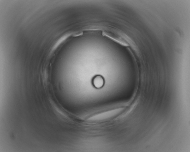 X0000115591465200911101229