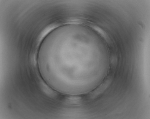 X0000115591466200911101229