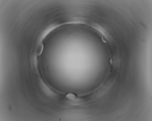 X0000115591468200911101228