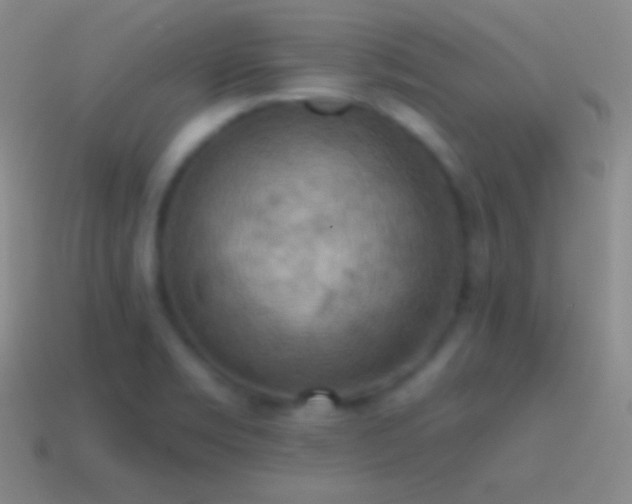 X0000115591469200911101228