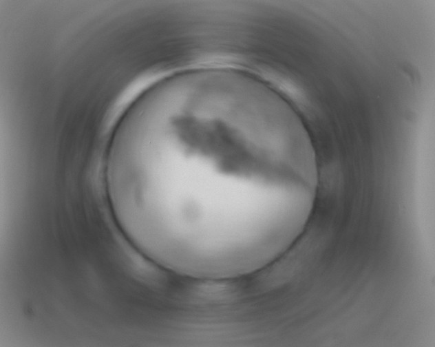 X0000115591470200911101228