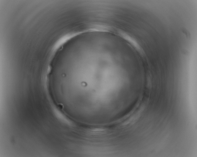 X0000115591471200911101228