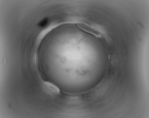 X0000115591472200911101228