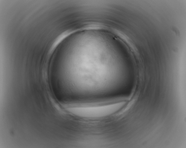 X0000115591473200911101228