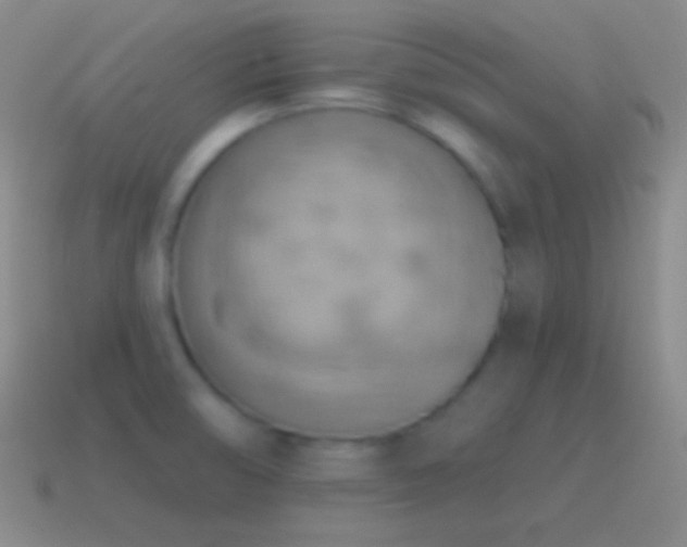 X0000115591474200911101228