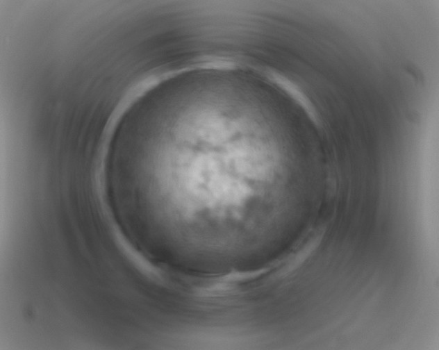 X0000115591475200911101228