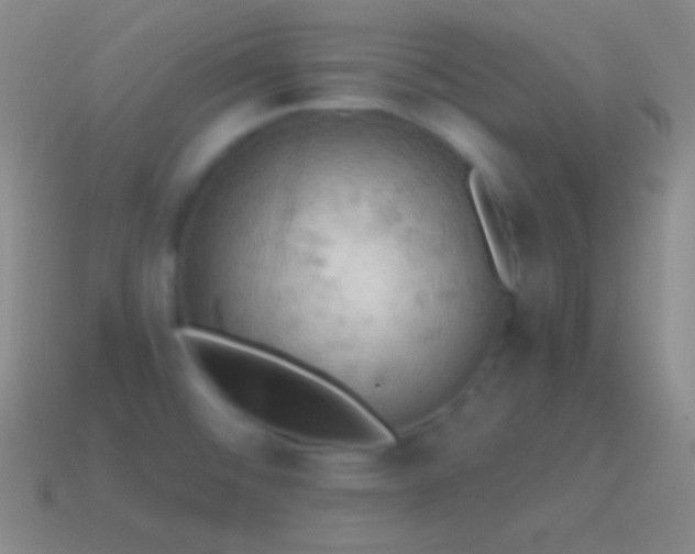 X0000115591476200911101228