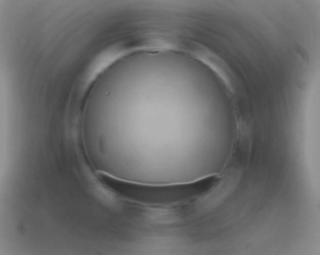 X0000115591477200911101228