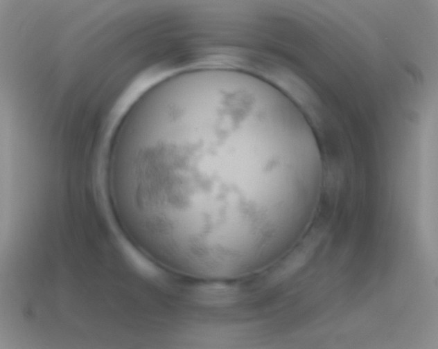 X0000115591478200911101228