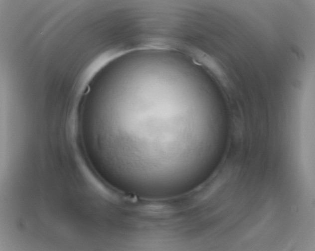 X0000115591479200911101228