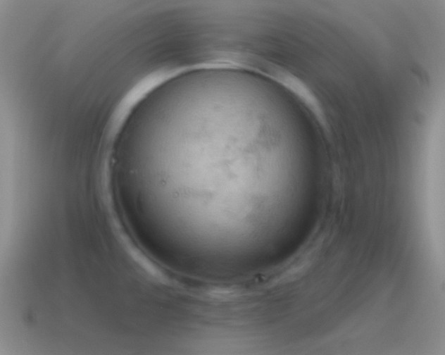 X0000115591480200911101228