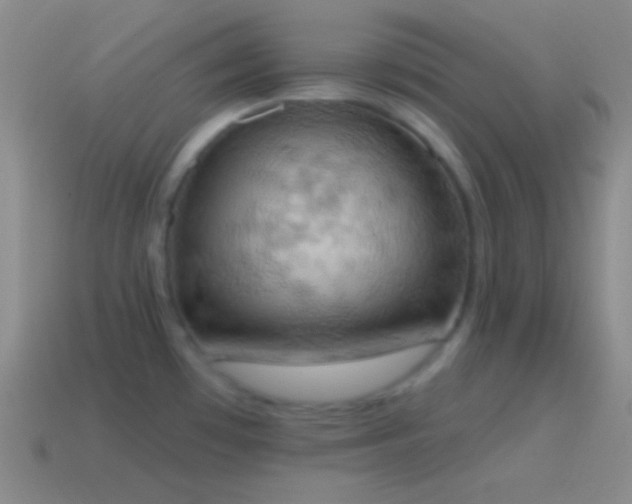 X0000115591481200911101228