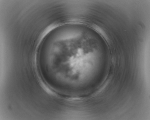 X0000115591482200911101228