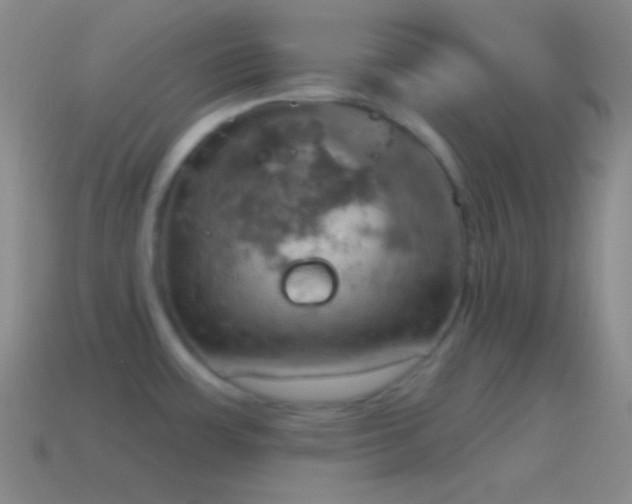 X0000115591483200911101228