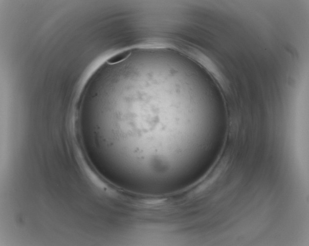 X0000115591484200911101228