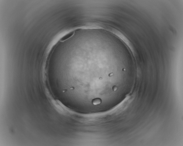 X0000115591485200911101228