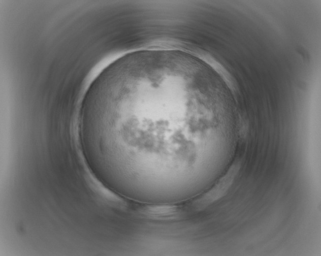 X0000115591486200911101228