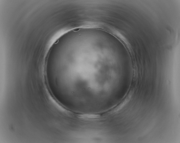 X0000115591487200911101228