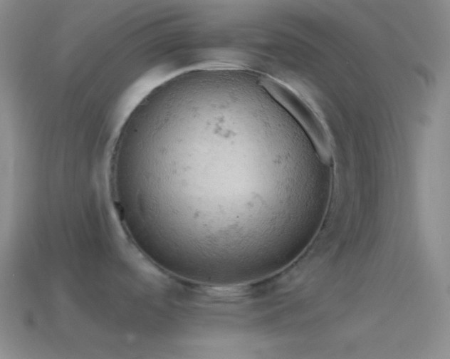 X0000115591488200911101228