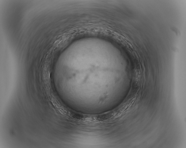 X0000115591489200911101227