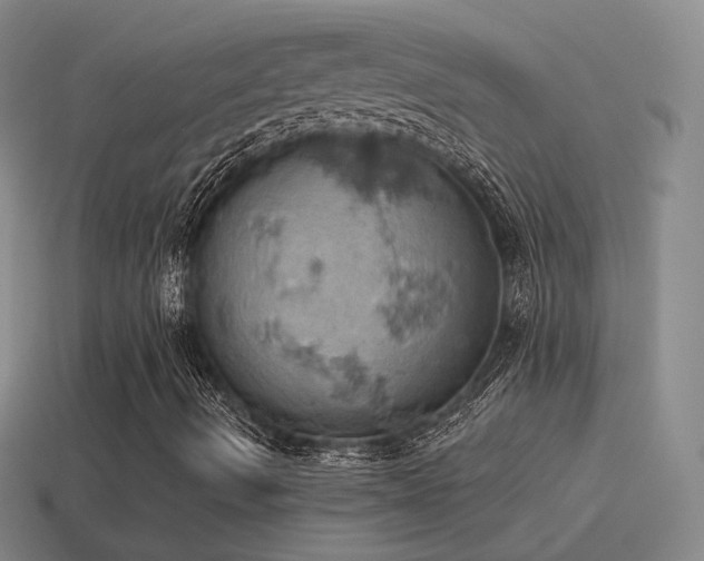 X0000115591490200911101227