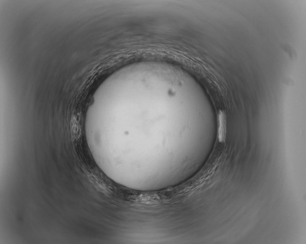 X0000115591491200911101227