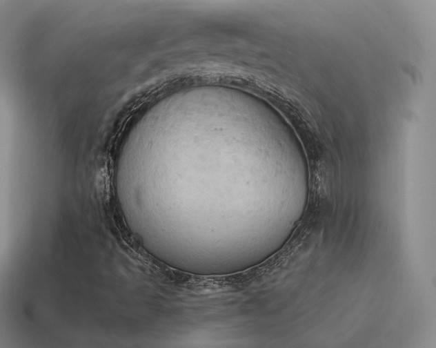 X0000115591493200911101227