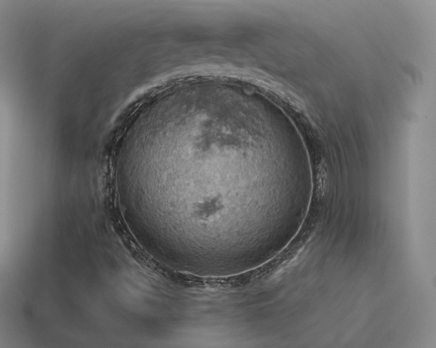 X0000115591494200911101228