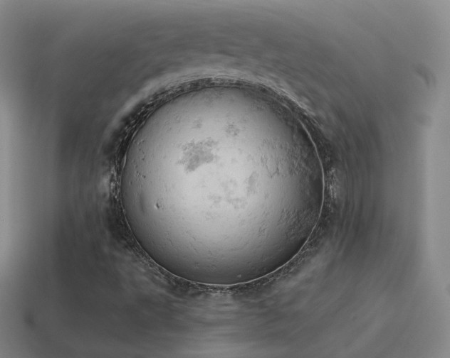 X0000115591495200911101228