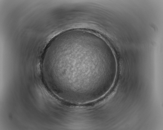 X0000115591497200911101228