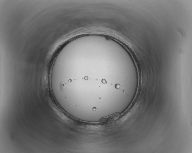 X0000115591498200911101228