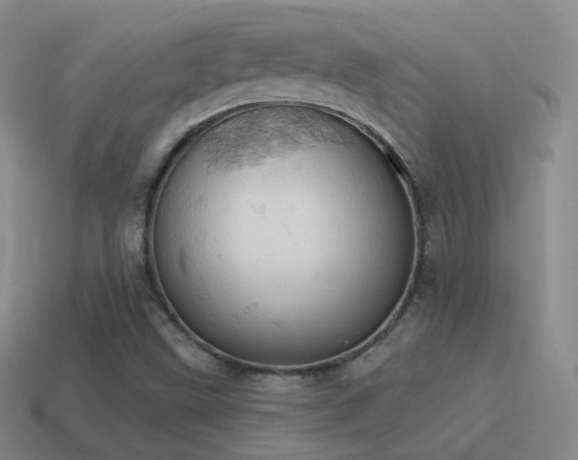 X0000115591499200911101228