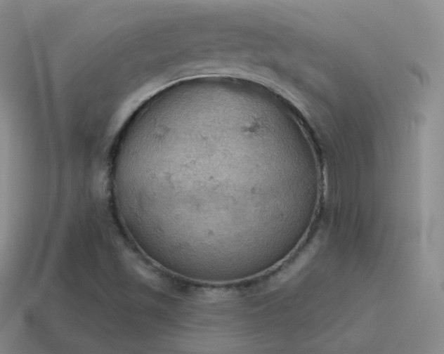 X0000115591501200911101228