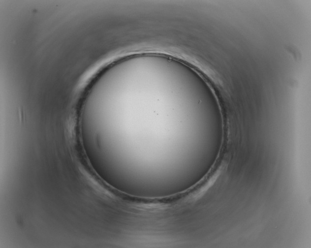 X0000115591502200911101228