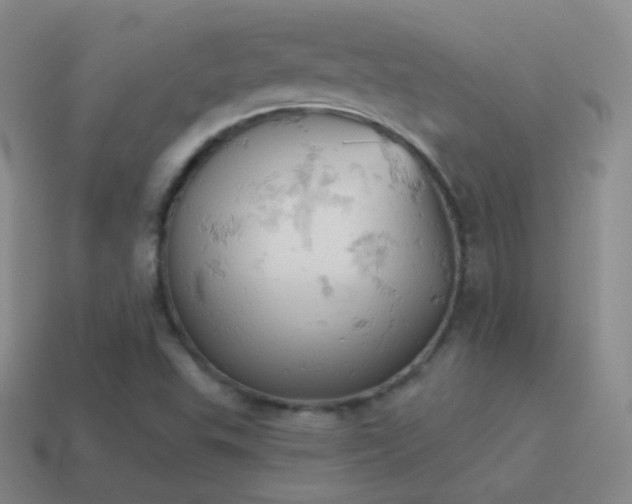 X0000115591503200911101228