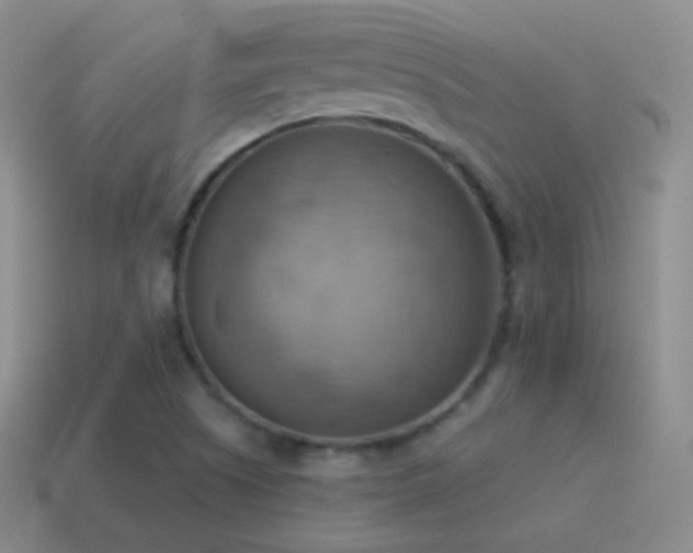 X0000115591505200911101228