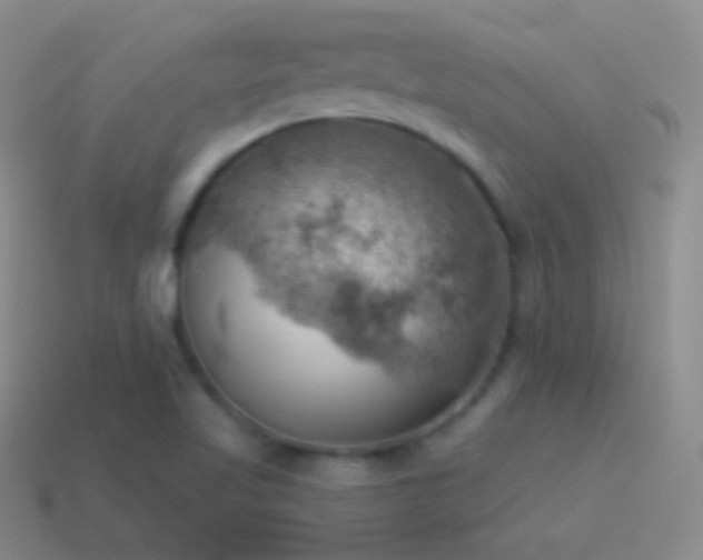 X0000115591509200911101228