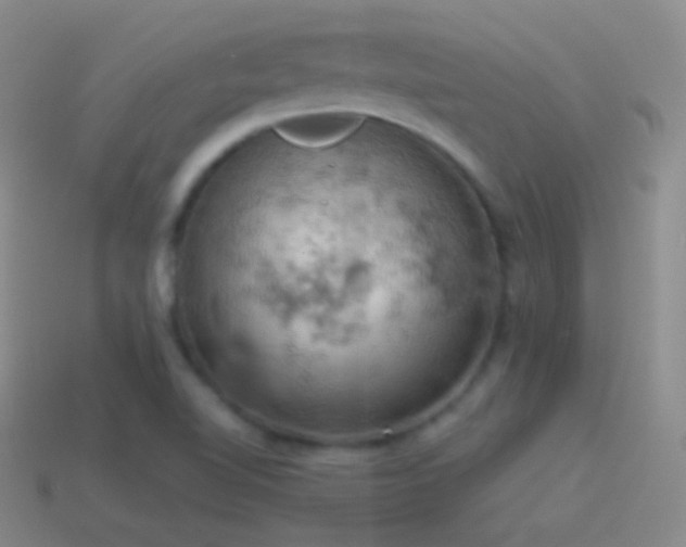 X0000115591510200911101228