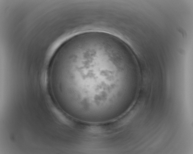 X0000115591511200911101228