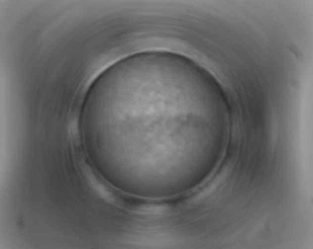 X0000115591513200911101228