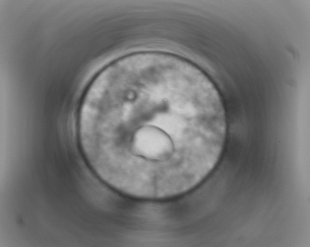 X0000115591514200911101228