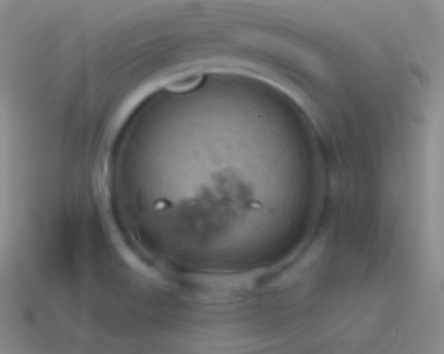 X0000115591515200911101228